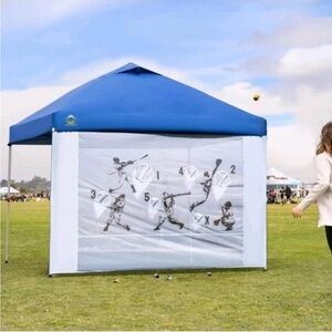 CROWN SHADES fits 10x10, Sidewall Net Game w/4 Balls, Grey, New